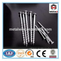 good quality common nail iron nail factory